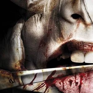 Meet your Posher, Sandy